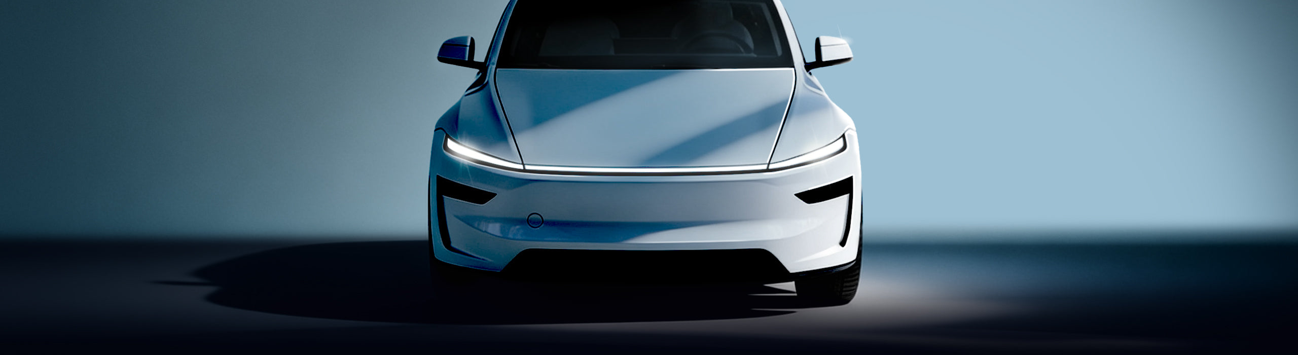 Tesla accessories banner